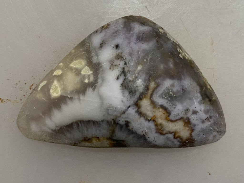 Кабошон-рисунок Динозавр