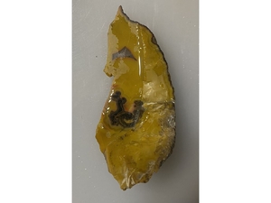 Кабошон-рисунок Лиса с поднятым хвостом