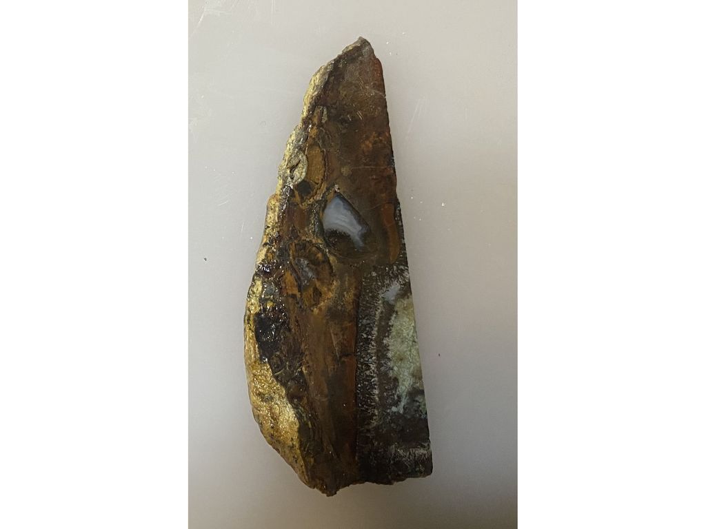 Срез-рисунок Монстр