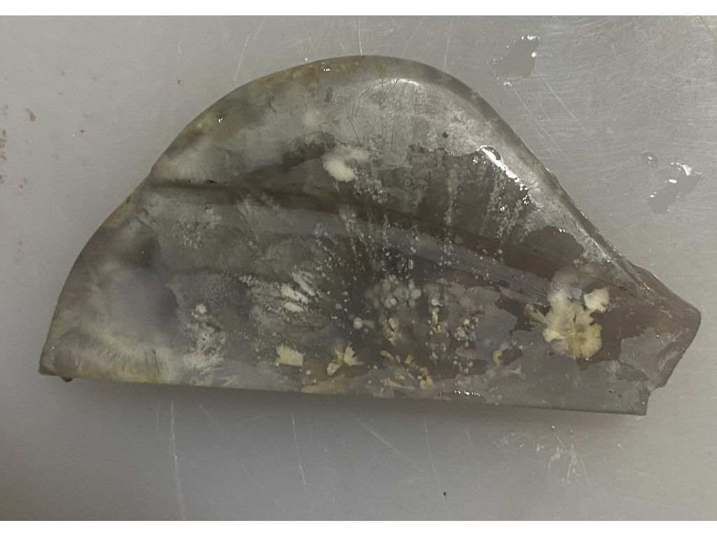 Кабашон-рисунок Рыба с мальком