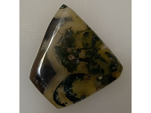 Кабошон-рисунок Рыба скалярия