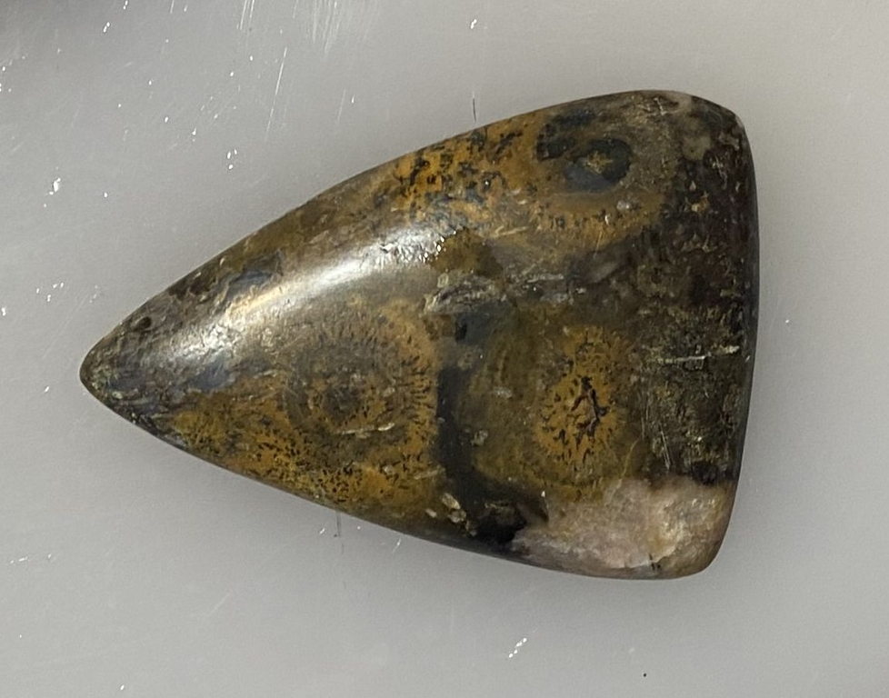 Кабошон-рисунок Рыба3