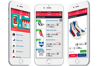 Веб-разработка